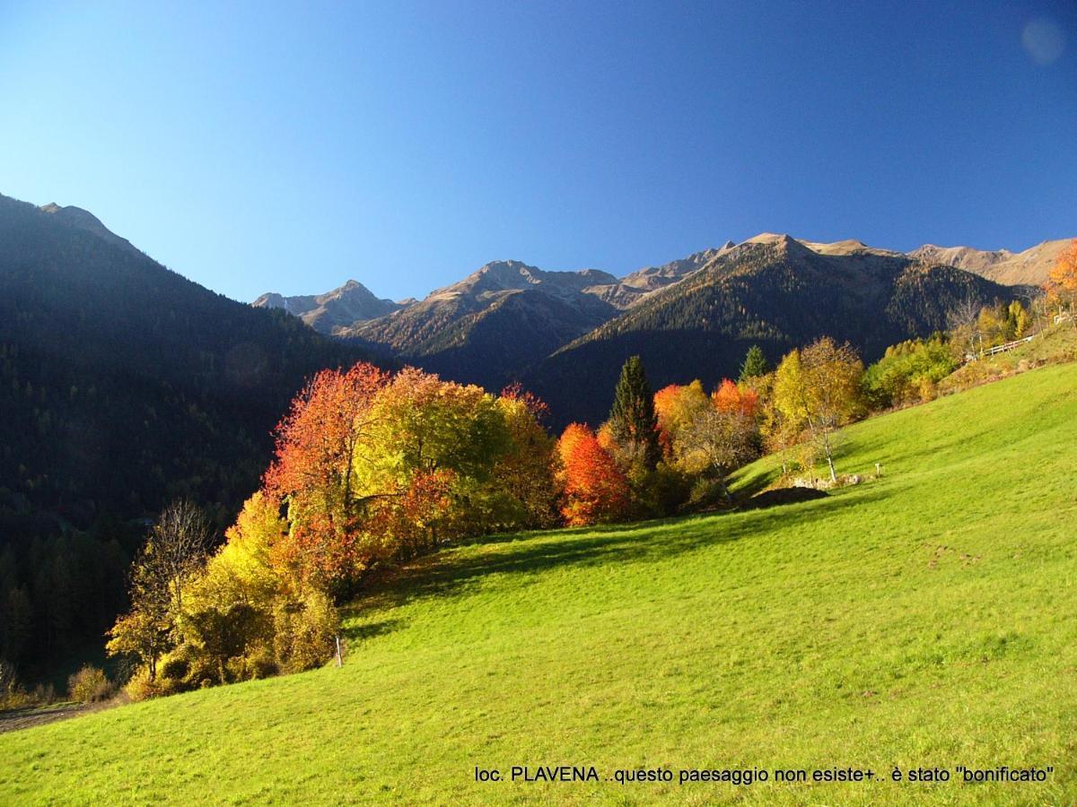 Alpen Garten Hotel Margherita Rumo Kültér fotó