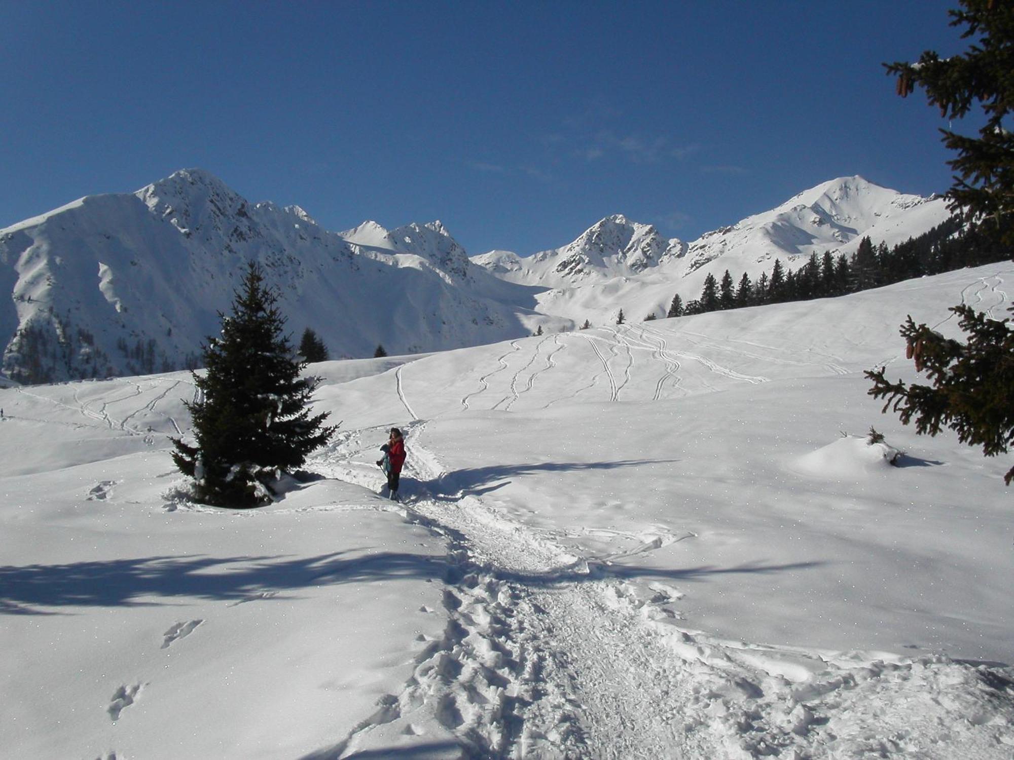 Alpen Garten Hotel Margherita Rumo Kültér fotó