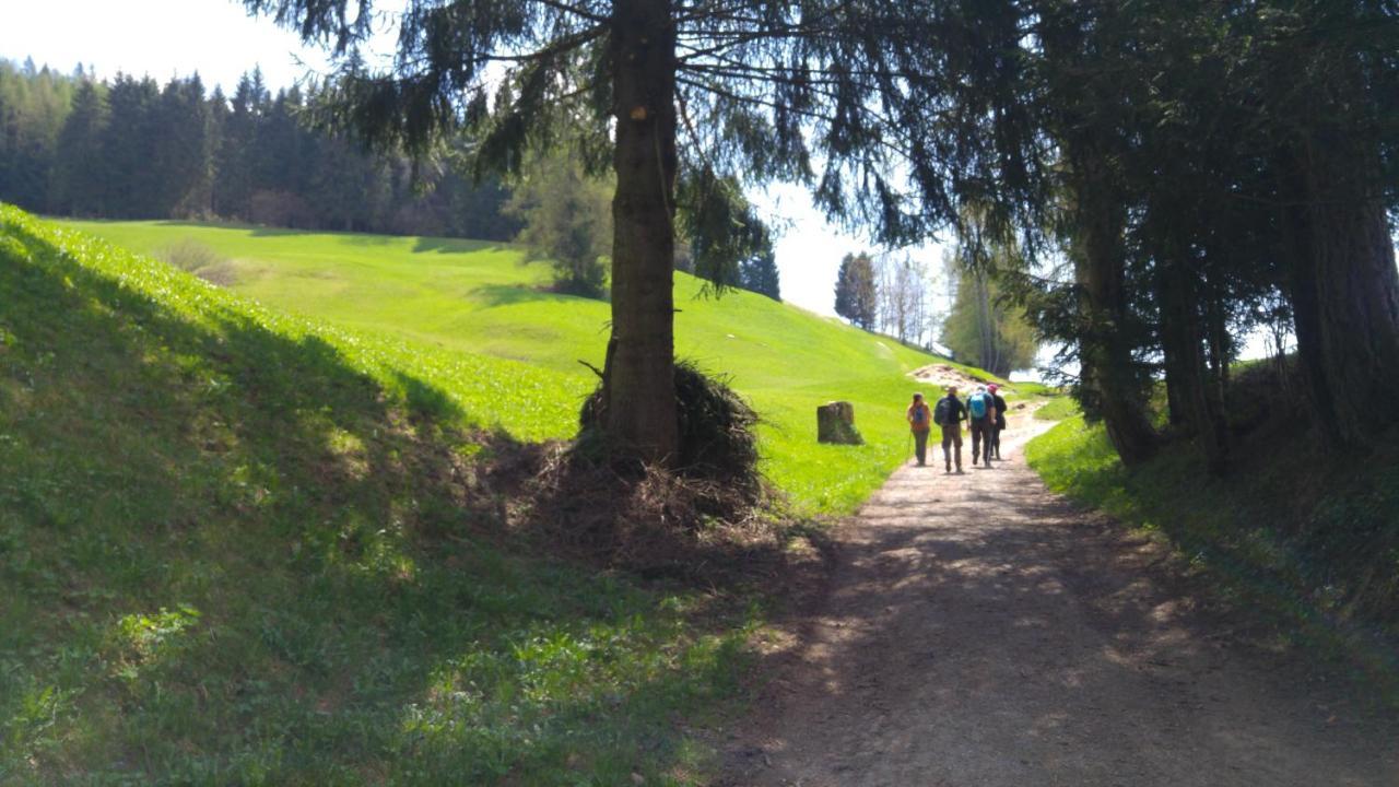 Alpen Garten Hotel Margherita Rumo Kültér fotó